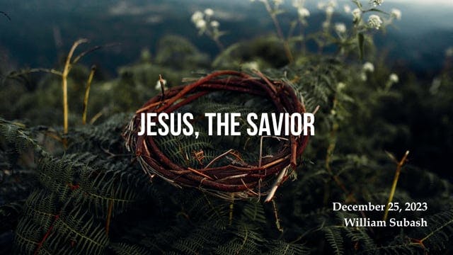 Jesus the Savior