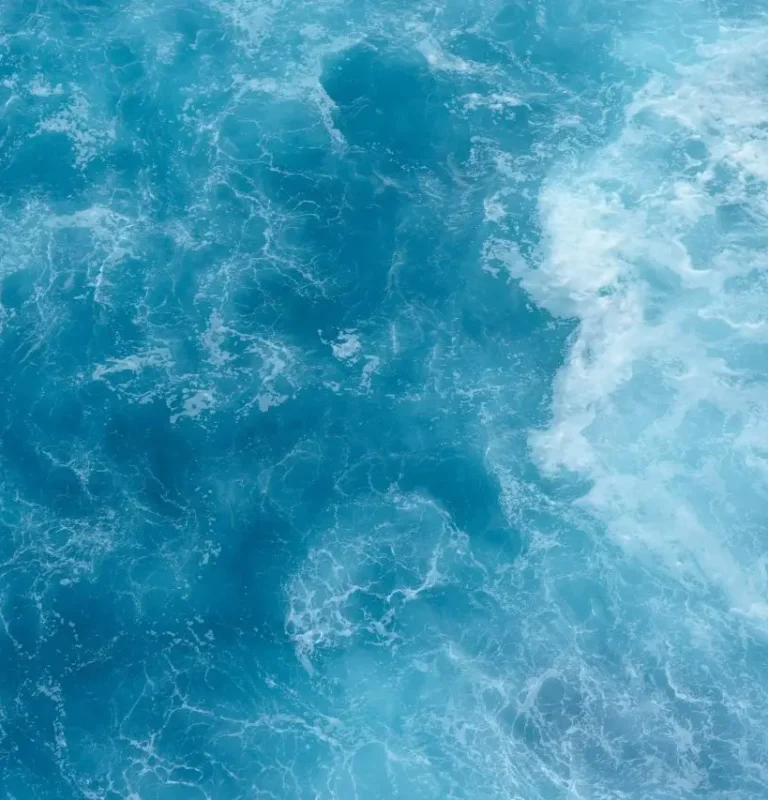 From the Depths of Waters