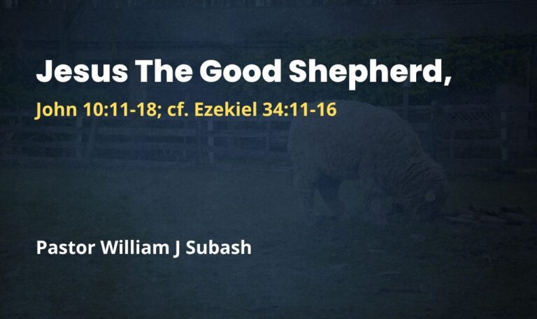 Jesus The Good Shepherd - The Crossroad Church, Bangalore