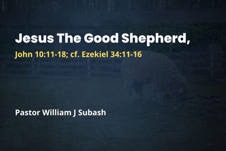 Jesus The Good Shepherd
