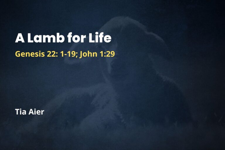 A Lamb for Life