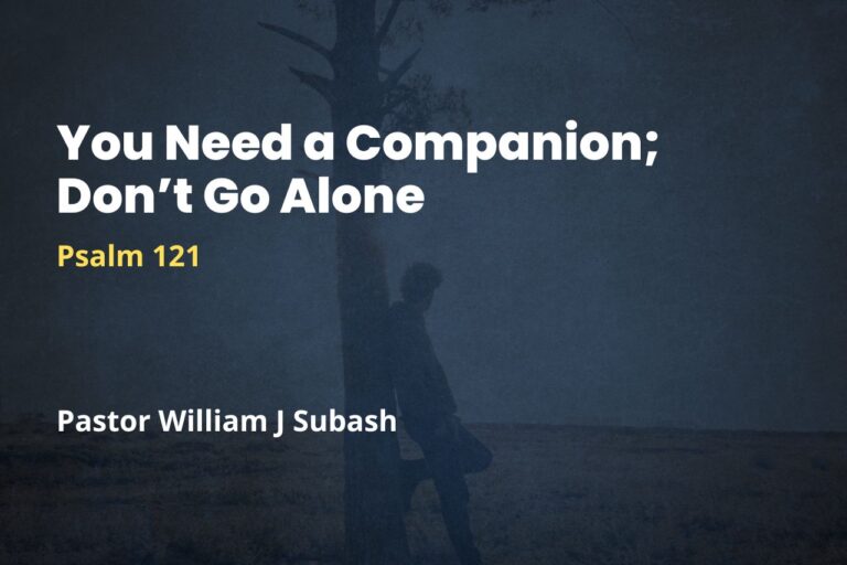 You Need a Companion; Don’t Go Alone