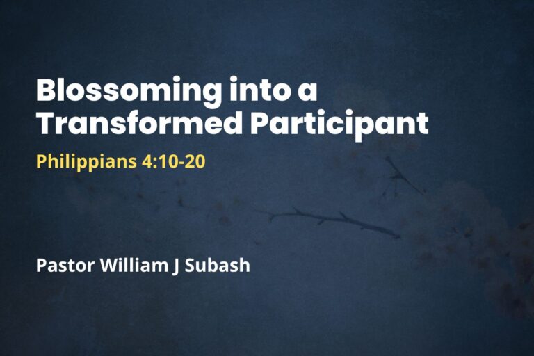 Blossoming into a Transformed Participant