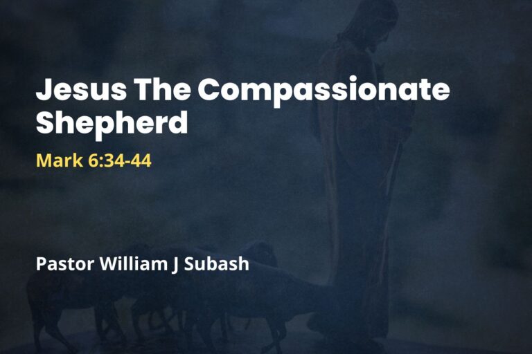 Jesus The Compassionate Shepherd